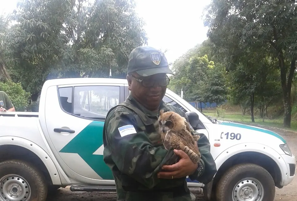 Foto: Divulgação/PMA