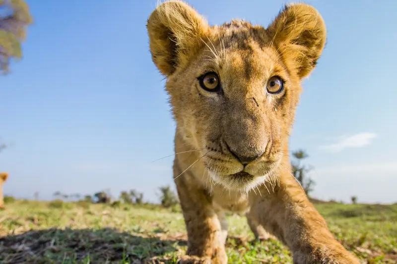 Foto: William Burrard-Lucas