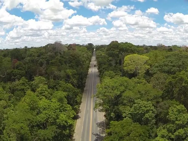 Foto: Reprodução/ TV Gazeta