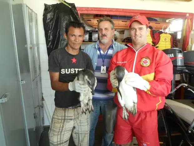 Foto: Cristian Negrão / Arquivo Pessoal