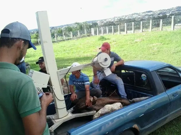 Foto: Divulgação