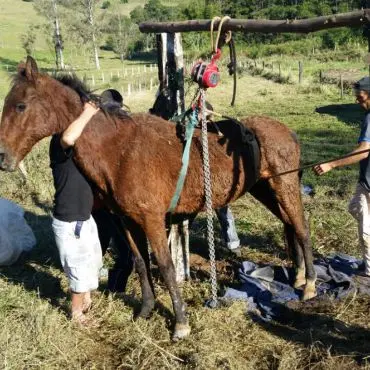 Foto: Divulgação