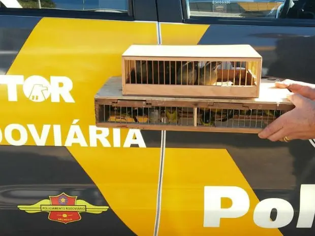 Foto: Divulgação/Polícia Rodoviária