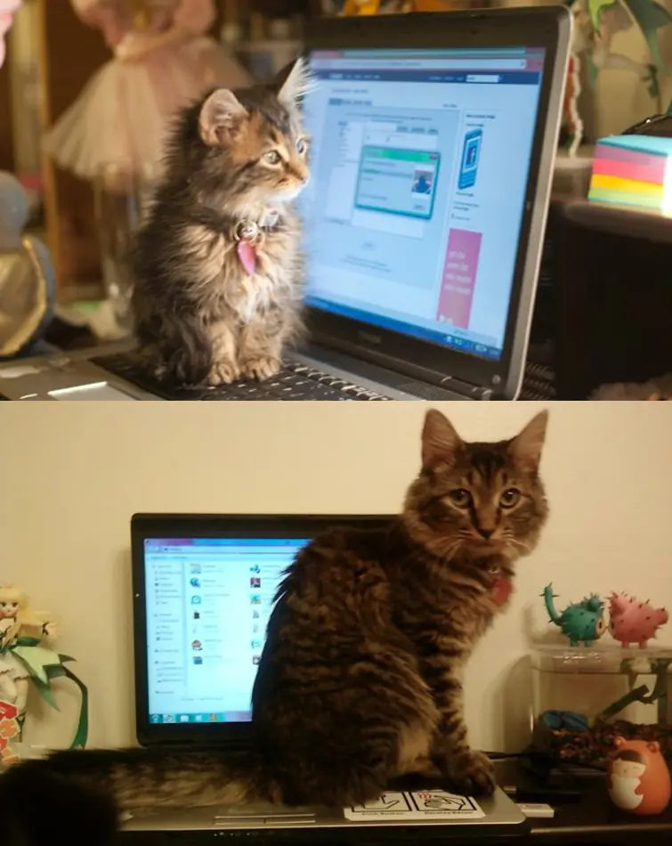 Foto: Reddit/boothin