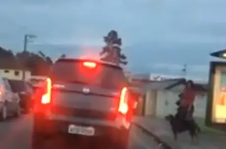 Animal se desespera ao ser abandonado e corre atrás do carro Reprodução/Vídeo