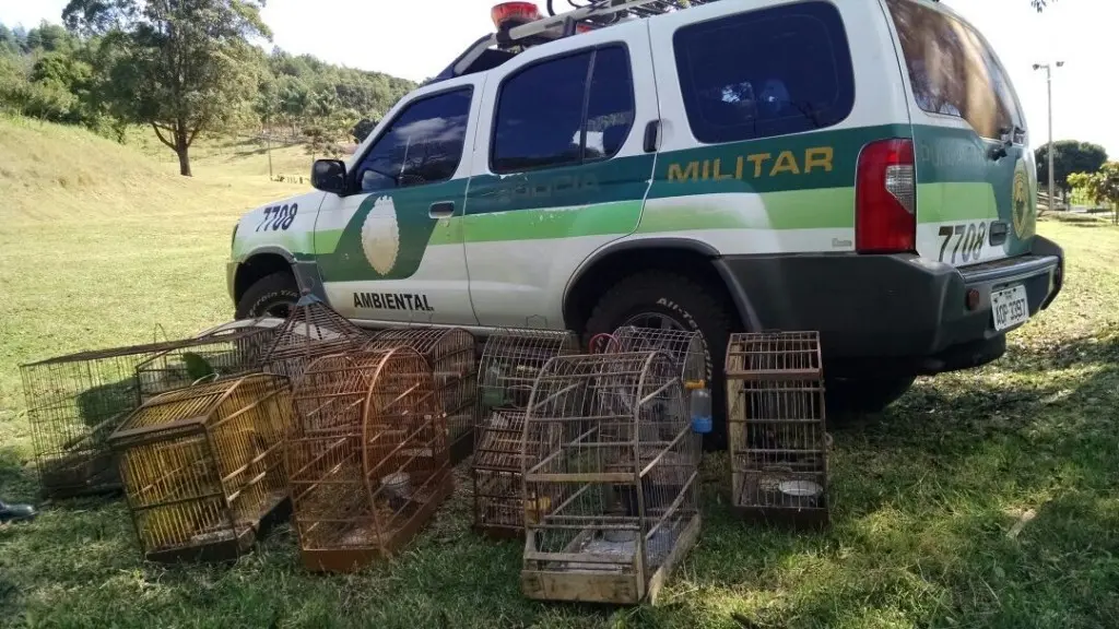 Foto: Divulgação / PMA 