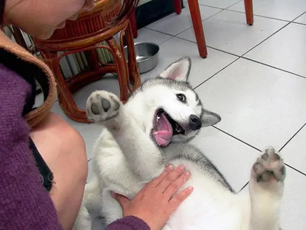 Foto: Reddit