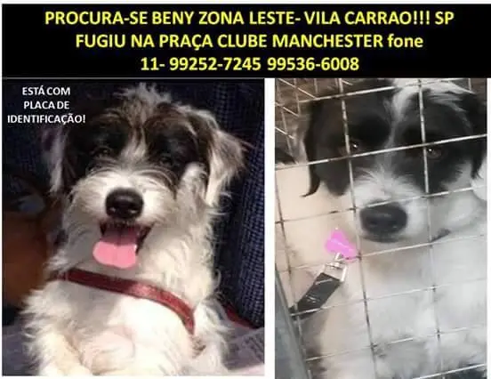 beny