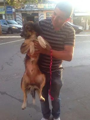 Bobô com o novo tutor, Andreli (Foto: Arquivo Pessoal)