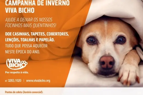 campanha2