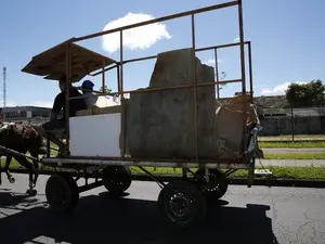 Prefeitura quer proibir uso de veículos com tração animal (Foto: Chico Camargo/CMC/Divulgação)