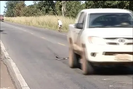 Foto: Reprodução / TV Anhanguera