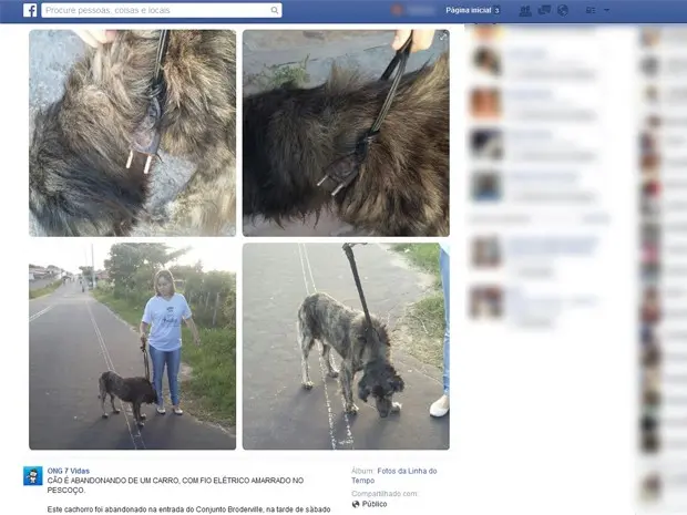 Cão estava no meio da rua com fio elétrico enrolado ao pescoço (Foto: Reprodução/Facebook)