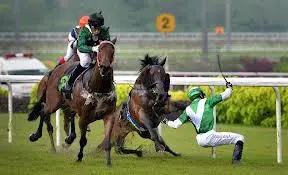 Foto: horseracingwrongs.com