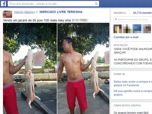Homem faz post em uma rede social anunciando a venda ilegal de jacaré (Foto: Reprodução/Facebook)