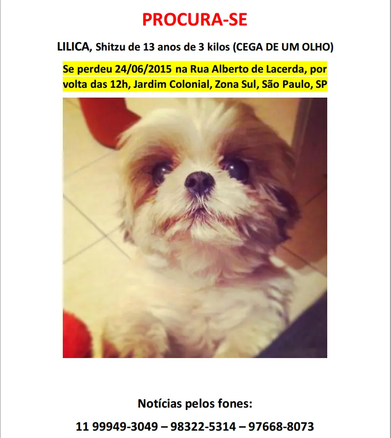lilica2