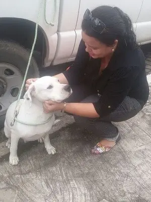 Os cães resgatados vão ser encaminhados para adoção (Foto: Divulgação/Pata)