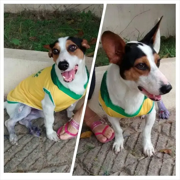 Foto: Divulgação 