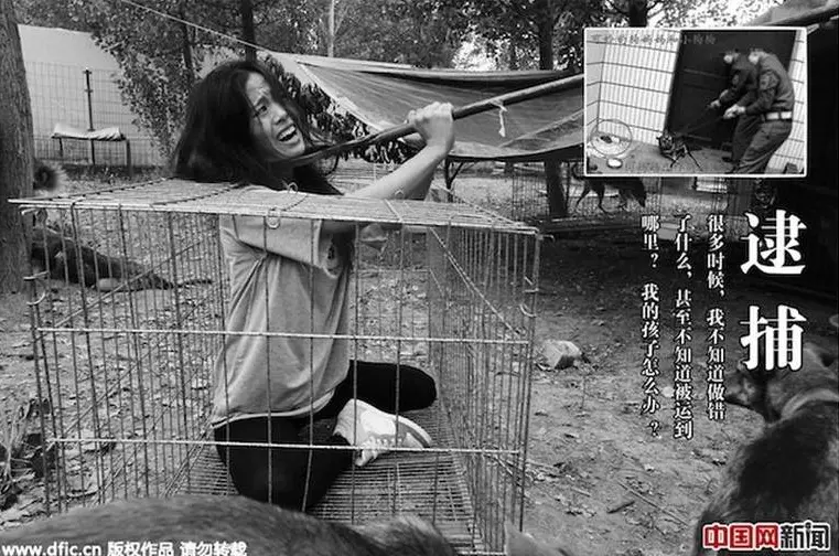 Foto: Reprodução/ Shanghaiist
