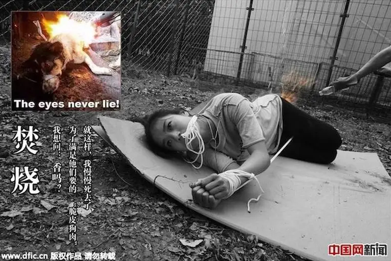 Foto: Reprodução/ Shanghaiist