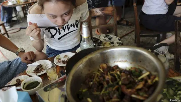 Estima-se que mais de 10 mil cachorros serão consumidos