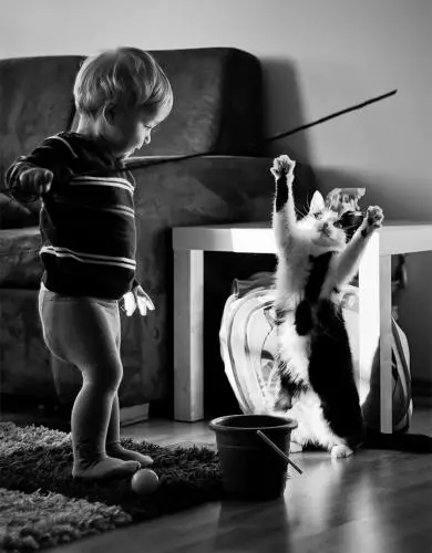 Foto: something-everything.com