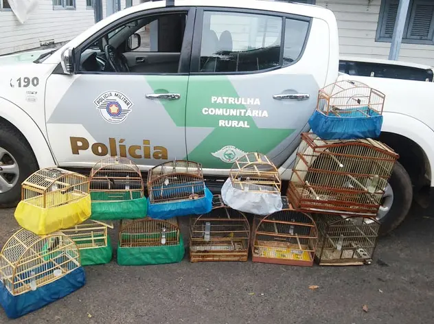 Foto: Cedida/Polícia Ambiental