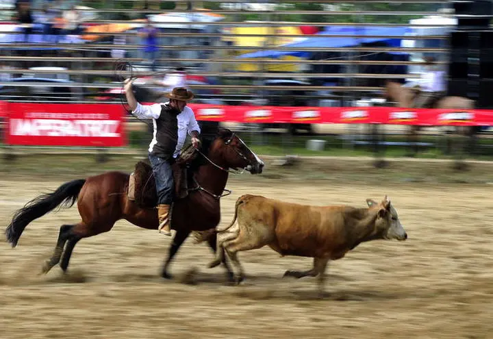 Foto: Reprodução/Canal Rural