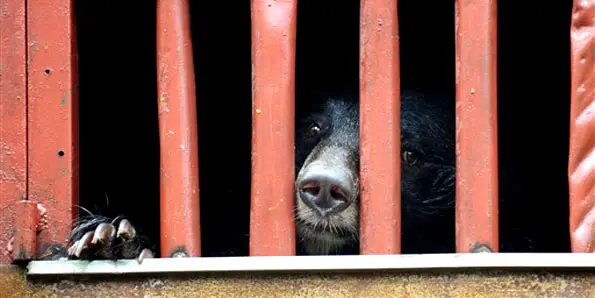 Foto: Hoang Dinh Nam/France Presse