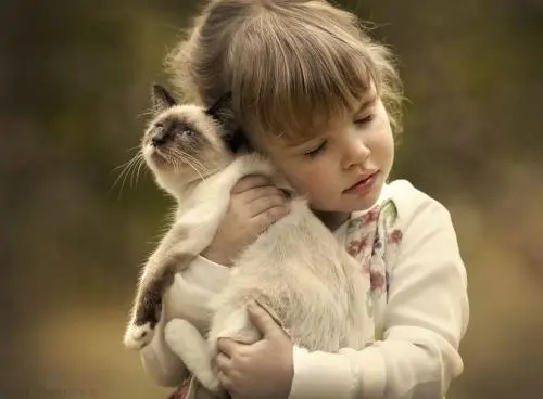 Foto: Briken Voci