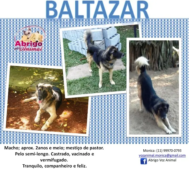 BALTAZAR
