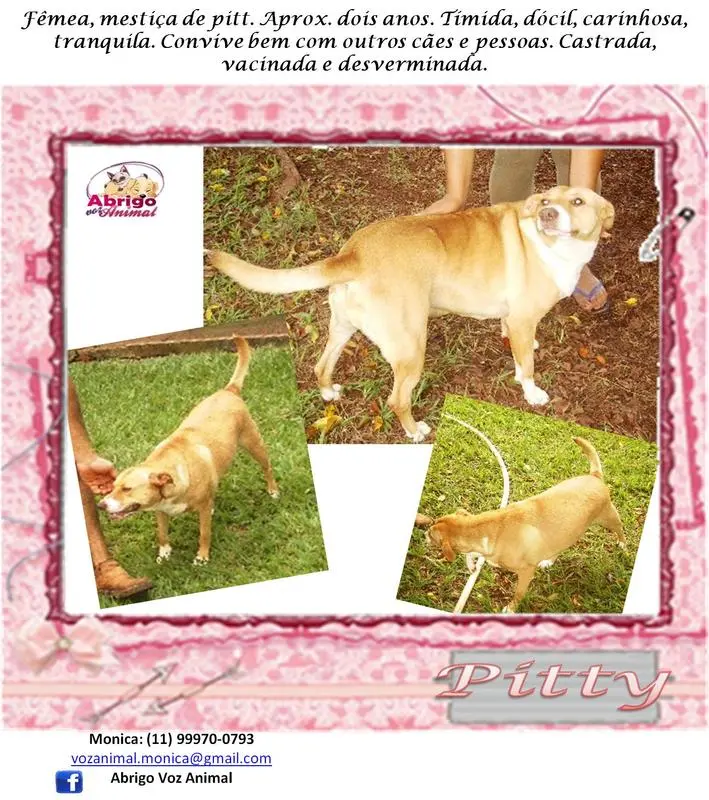PITTY