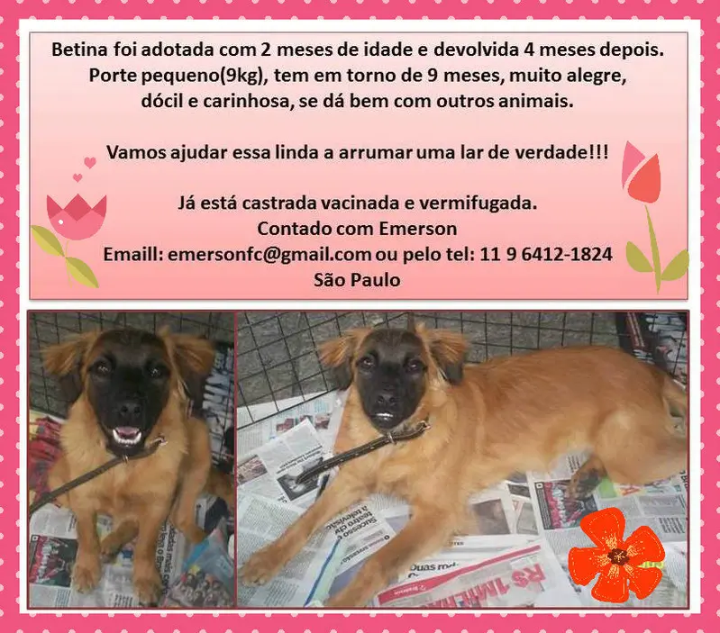 Foto: Divulgação
