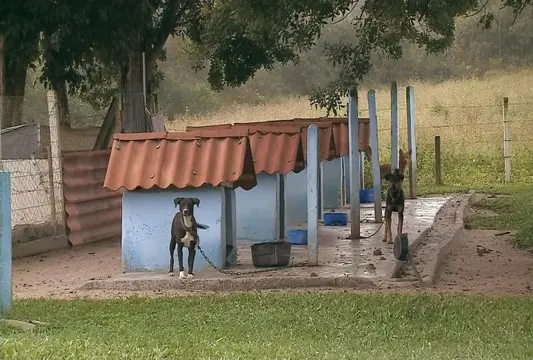 Foto: Reprodução / RBS TV
