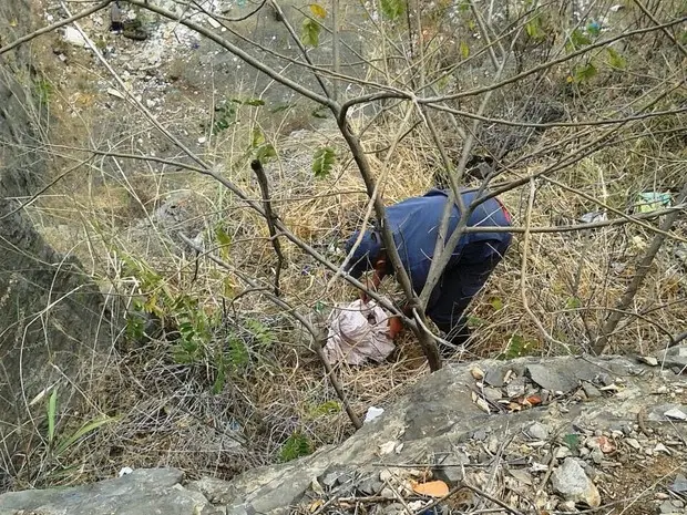 Cão foi encontrado em uma pedreira (Foto: Divulgação / Corpo de Bombeiros)