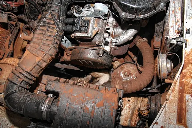 Gato morre dentro do motor de um Fiat Uno