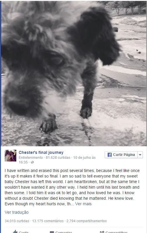 chester