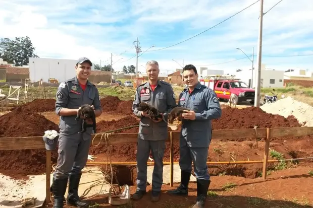 Foto: Corpo de Bombeiros