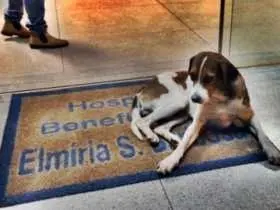 Foto: Sidrolândia News 