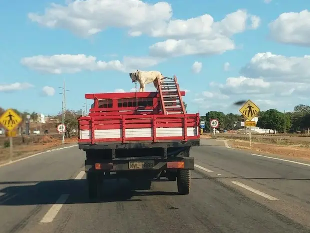 Foto: Arquivo Pessoal