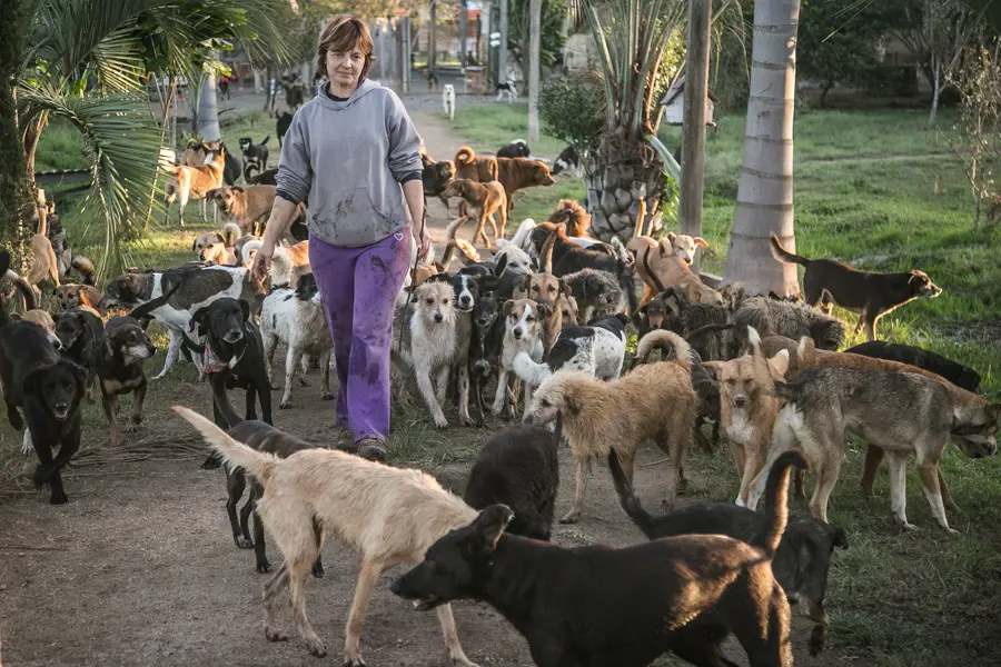 “Ou você toma uma atitude ou não. Decidi que não adianta ter pena e ficar de braços cruzados esperando que alguém faça algo”, diz Rejane Velho Ferreira, que construiu um sítio no Lami para cuidar de animais abandonados. (Foto: Guilherme Santos/Sul21)