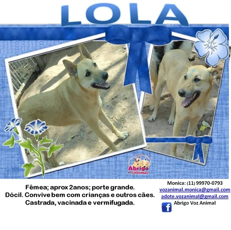lola