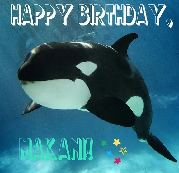 Foto: Instagram/seaworldsandiego