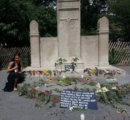 memorial-pigeons-washington-square-park-2015