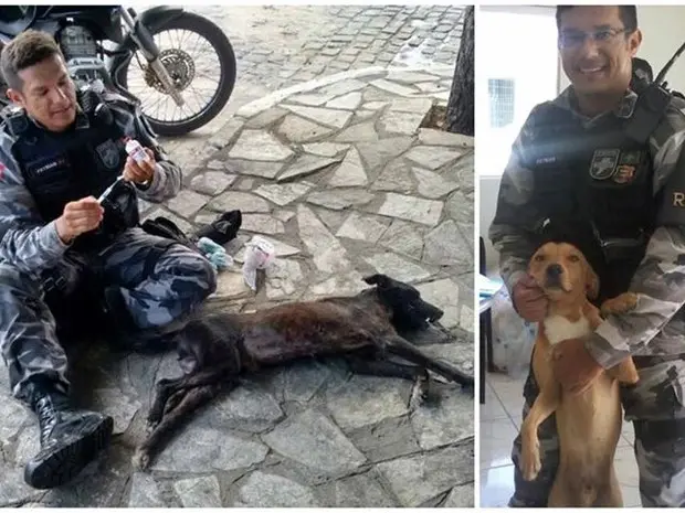 policial_cuidadeanimais_patos_paraiba