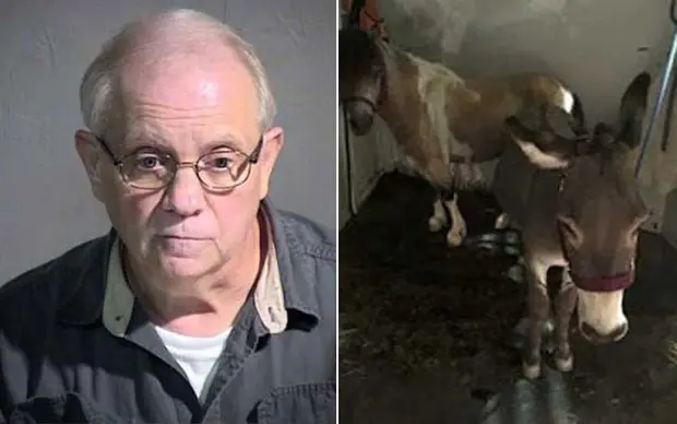 Michael Crawford foi acusado de viajar para Arizona para fazer sexo com cavalo (Foto: Maricopa County Sheriff's Office)