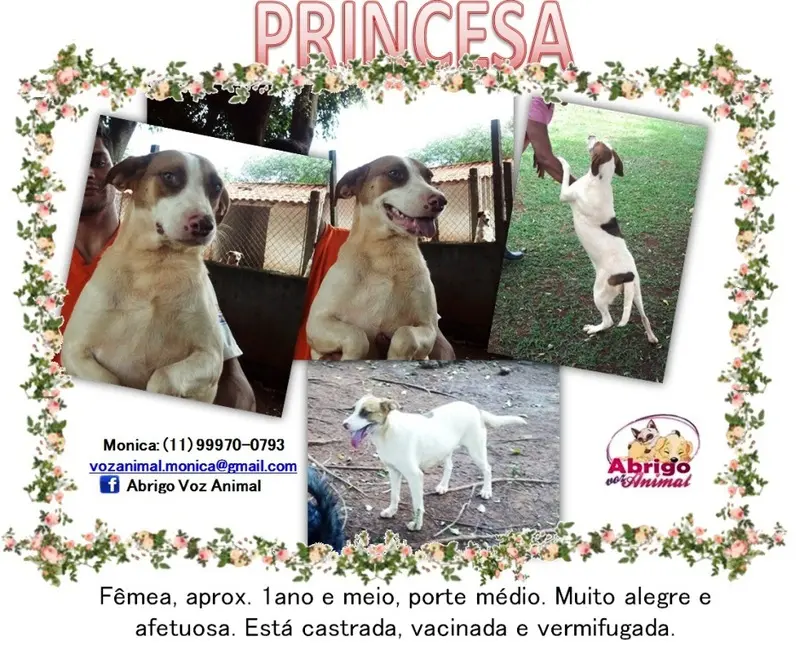 princess