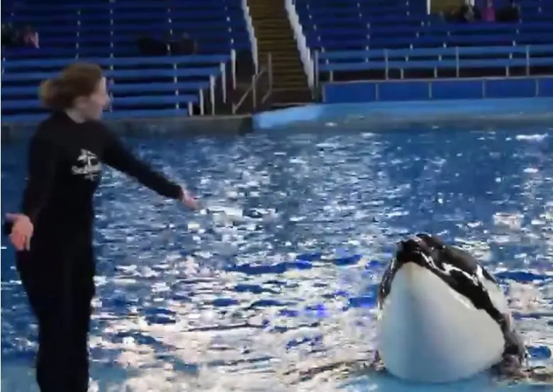 Foto: Instagram/seaworldtexas