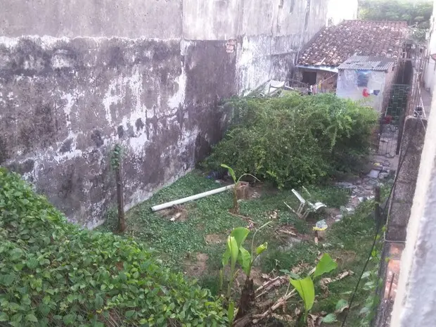 Segundo a Polícia, terreno também é usado como depósito de lixo e não oferece condições para abrigar animais. Sete cães foram encontrados debilitados e um foi encontrado morto. (Foto: Lene Munhoz/Arquivo Pessoal)