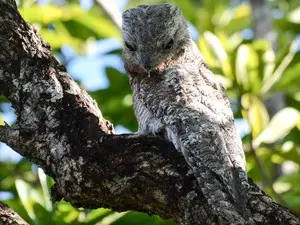Foto: Clóvis Cruvinel/ Arquivo Pessoal
